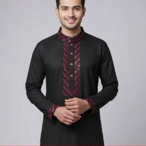 Eid Special Punjabi 2026 Premium Quality